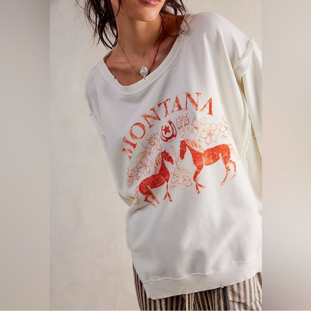 NWT Free People Montana Graphic Sweatshirt Large